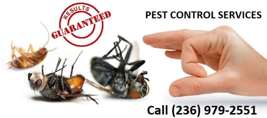 Apna Pest Control Services